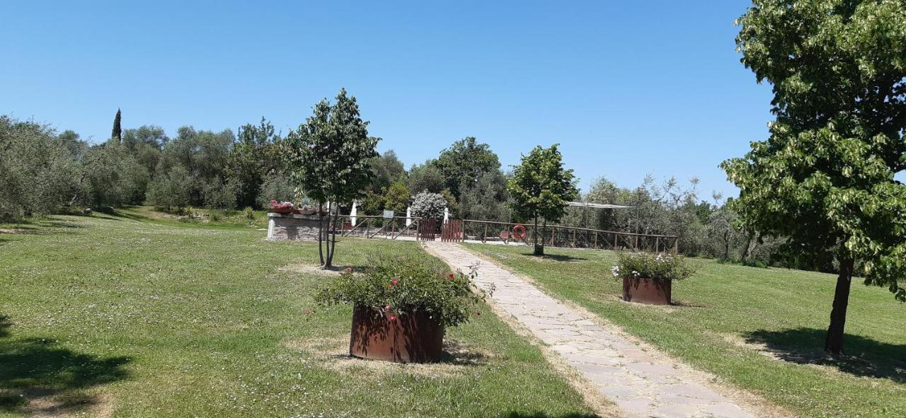 Camere Con Vista In Valdichiana Marciano della Chiana Exteriör bild